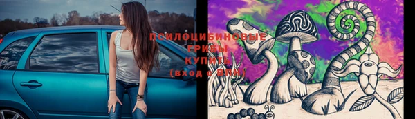 соль ск Кинешма