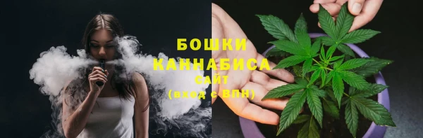 молекула духа Богородицк