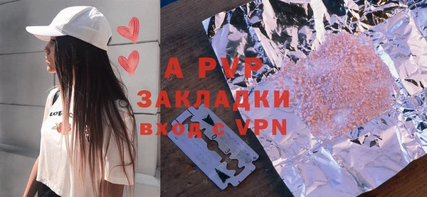 молекула духа Богородицк