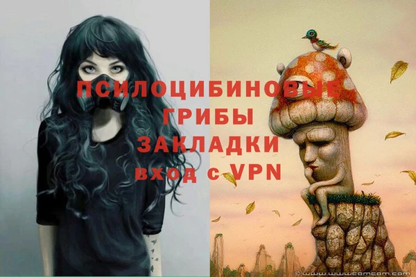 apvp Бугульма