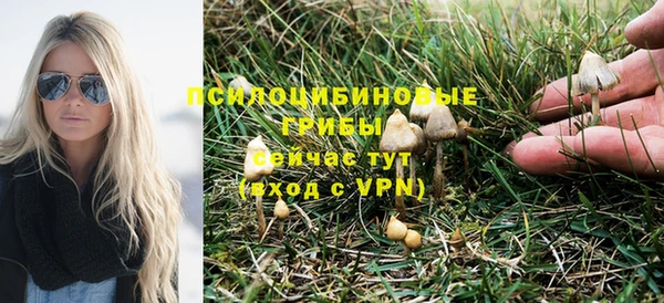 не бодяженный Киренск