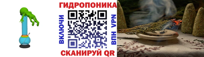 магазин продажи наркотиков  Калининск  Шишки марихуана Ganja 